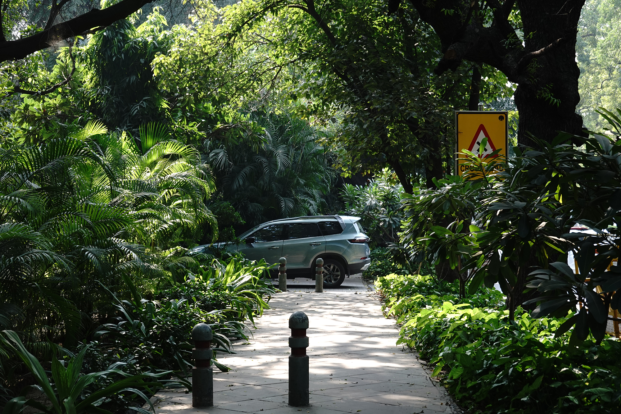 Christoph Radke, India, New Delhi, bei Lutyen's Bungalow, 2022